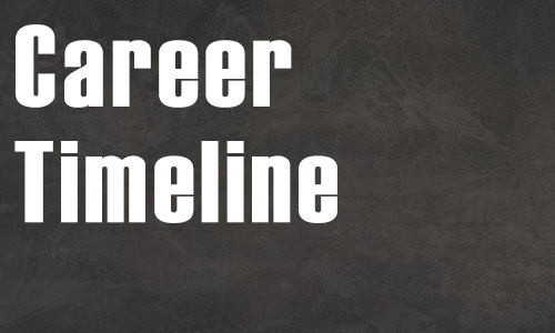 Career Timeline image link